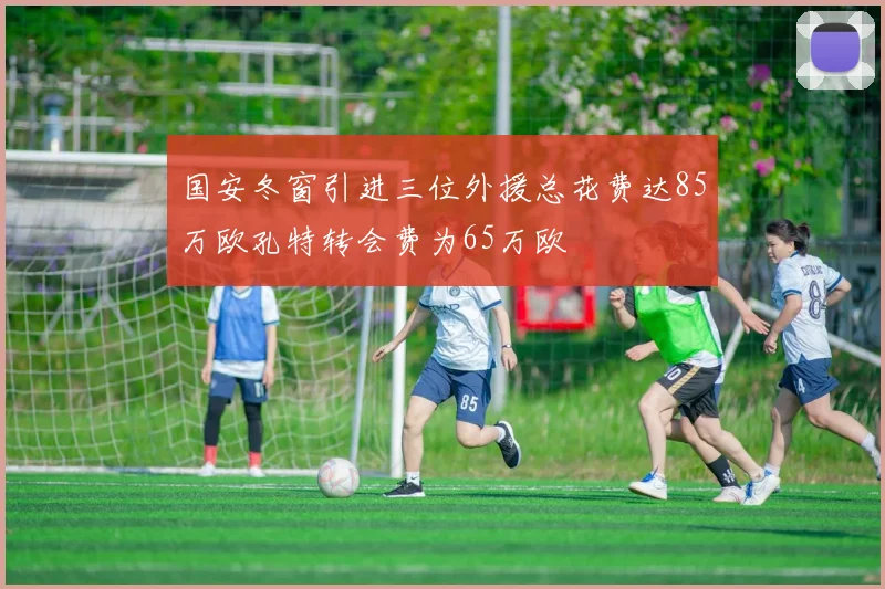 国安冬窗引进三位外援总花费达85万欧孔特转会费为65万欧