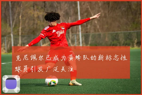 克尼佩尔已成为黄蜂队的新标志性球员引发广泛关注